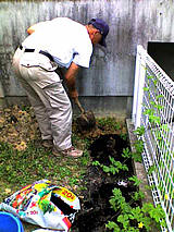 へちまを植える加藤さん