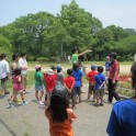 ６月わくわく(長野公園)